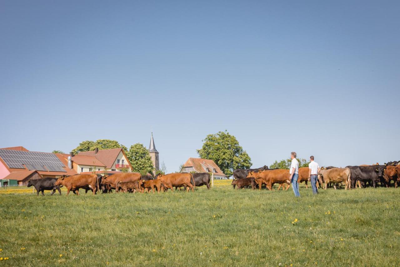 Schaefer'S Ferienhof Michaelsberg Gundelsheim  Exteriér fotografie